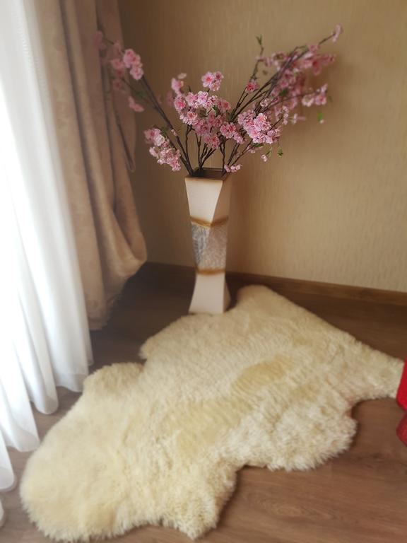 Riga Airport Apartment Eksteriør billede